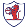 https://img.ynhrdl.com/img/football/team/11fb72f7b5eacfc881ee11bac75871fa.png